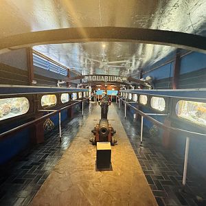 Aquarium - in use since 1950s