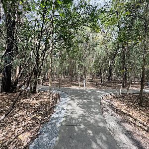 Macropod walkthrough