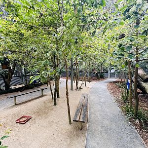 Predatory bird aviary