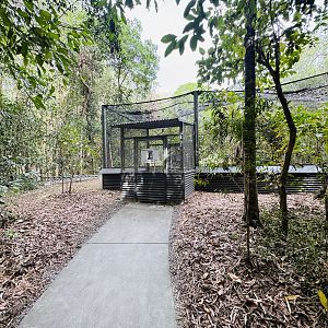 Predatory bird aviary
