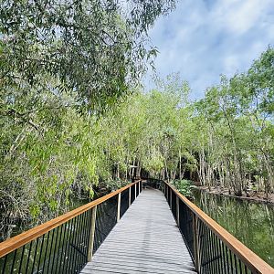 Freshwater crocodile enclosure