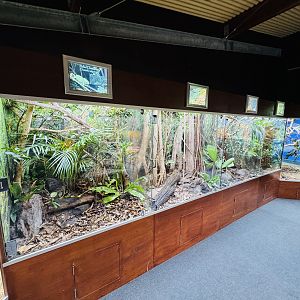 Gallery of Living Art - reptile house