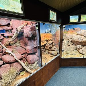 Gallery of Living Art - reptile house