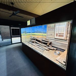 Gallery of Living Art - reptile house
