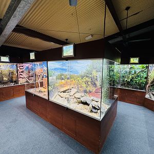 Gallery of Living Art - reptile house
