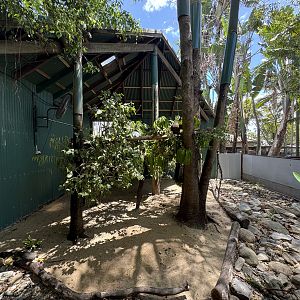Tree kangaroo enclosure