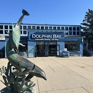 New Dolphin Bay sign