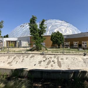 Planned Asiatic Elephant Bull paddock-06/2025