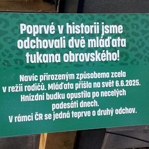 Plaque commemorating the first breeding of toco toucan-9/25