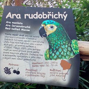 Red-bellied macaw sign in South American walkthrough aviary-9/25