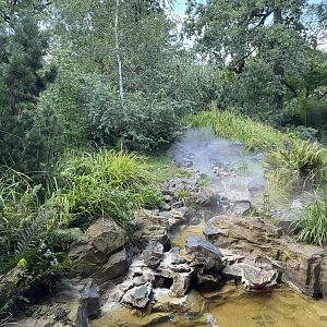 Panda Garden - Outdoor Giant Panda exhibit #4