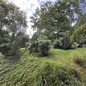 Panda Garden - Outdoor Giant Panda exhibit #3