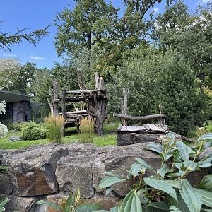 Panda Garden - Outdoor Giant Panda exhibit #2