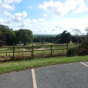 Grant's zebra/Common ostrich enclosure 050925