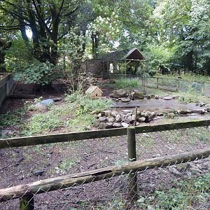 Asian small-clawed otter enclosure 050925