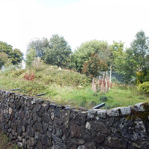 Larger Carpathian lynx enclosure 050925