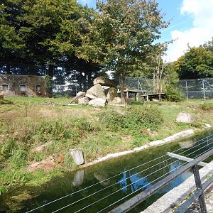 Siberian tiger enclosure 050925
