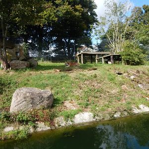 Siberian tiger enclosure 050925