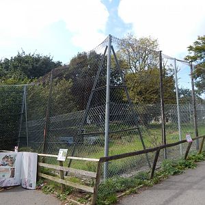 Lion enclosure 050925