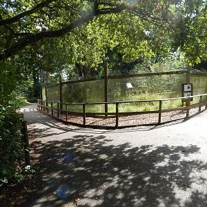 White-faced saki/Azara's agouti enclosure 050925
