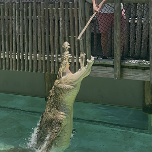 Jul. 2025 - MAXIMO & a ZooTuber