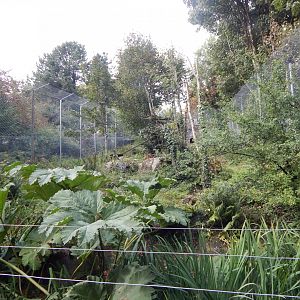 Jaguar enclosure 050925