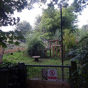 Serval enclosure 050925