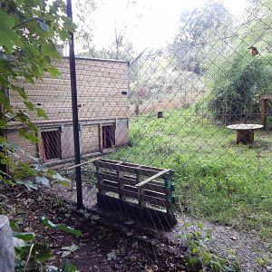 Serval enclosure 050925