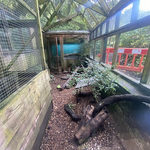 Long-nosed potoroo enclosure 050925