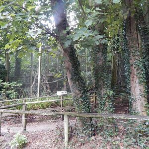Scottish wildcat enclosure 050925
