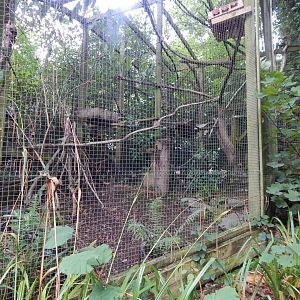 Scottish wildcat enclosure 050925
