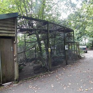 Laughing kookaburra aviary 050925