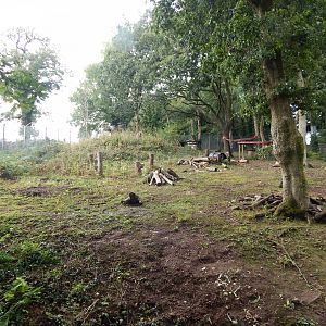 Gelada enclosure 050925