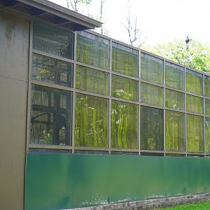 Side view of the Hawaiian crow/ʻAlalā exhbit