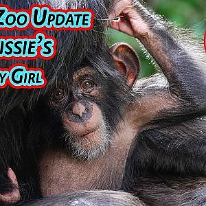 Chester Zoo - Chrissies baby girl and Jeff Close-ups