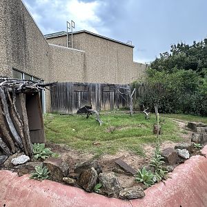 Sep. 2025 - Wild Life Trek - Collared Peccary Enclosure