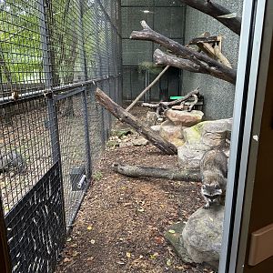 Sep. 2025 - Wild Life Trek - Raccoon Enclosure