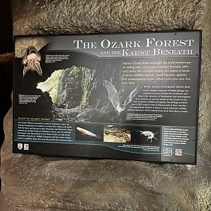 Sep. 2025 - Wild Life Trek - Ozark Signage