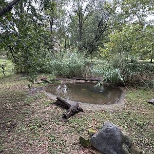 Sep. 2025 - Wild Life Trek - American Alligator Enclosure