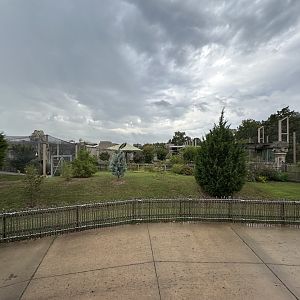 Sep. 2025 - Wild Life Trek - View towards the Lost Kingdom