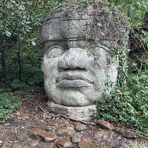 Sep. 2025 - Rainforest - Olmec Head Statue