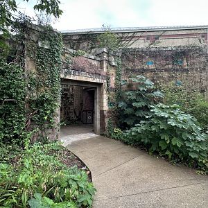 Sep. 2025 - Rainforest - Path to the Entrance