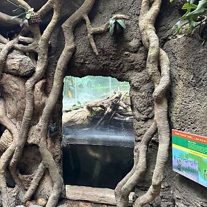 Sep. 2025 - Rainforest - Green Anaconda Viewing