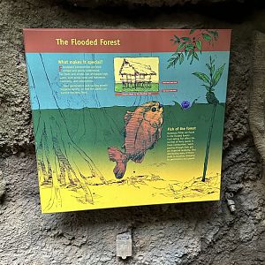 Sep. 2025 - Rainforest - Typical Signage