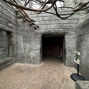 Sep. 2025 - Rainforest - Howler Viewing Area