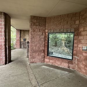 Sep. 2025 - Rainforest - Jaguar Viewing Area (outdoor)