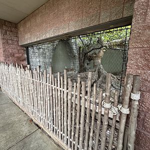 Sep. 2025 - Rainforest - Jaguar Barriers