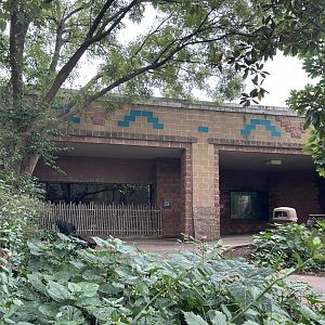 Sep. 2025 - Rainforest - View from the Jaguars