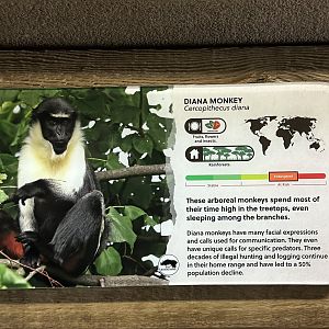 Sep. 2025 - Conservation Center - Diana Monkey Signage