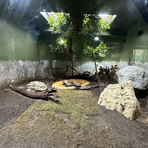 Sep. 2025 - Conservation Center - Asian Mountain Tortoise Enclosure